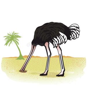 ostrich-head-sand-side-view-white-background-copy-space-31870771